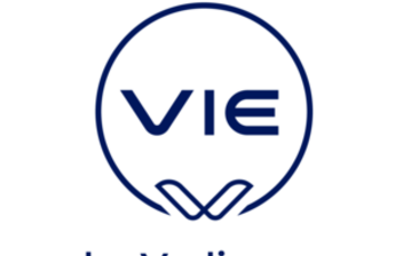 VIE logo